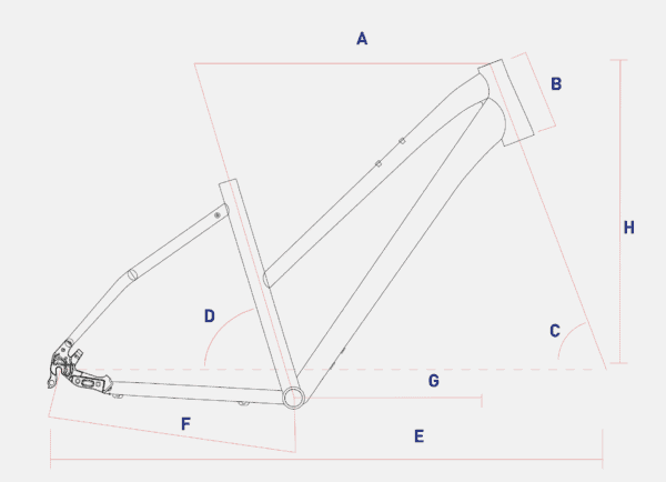 CORRATEC C29 Elite Trapez