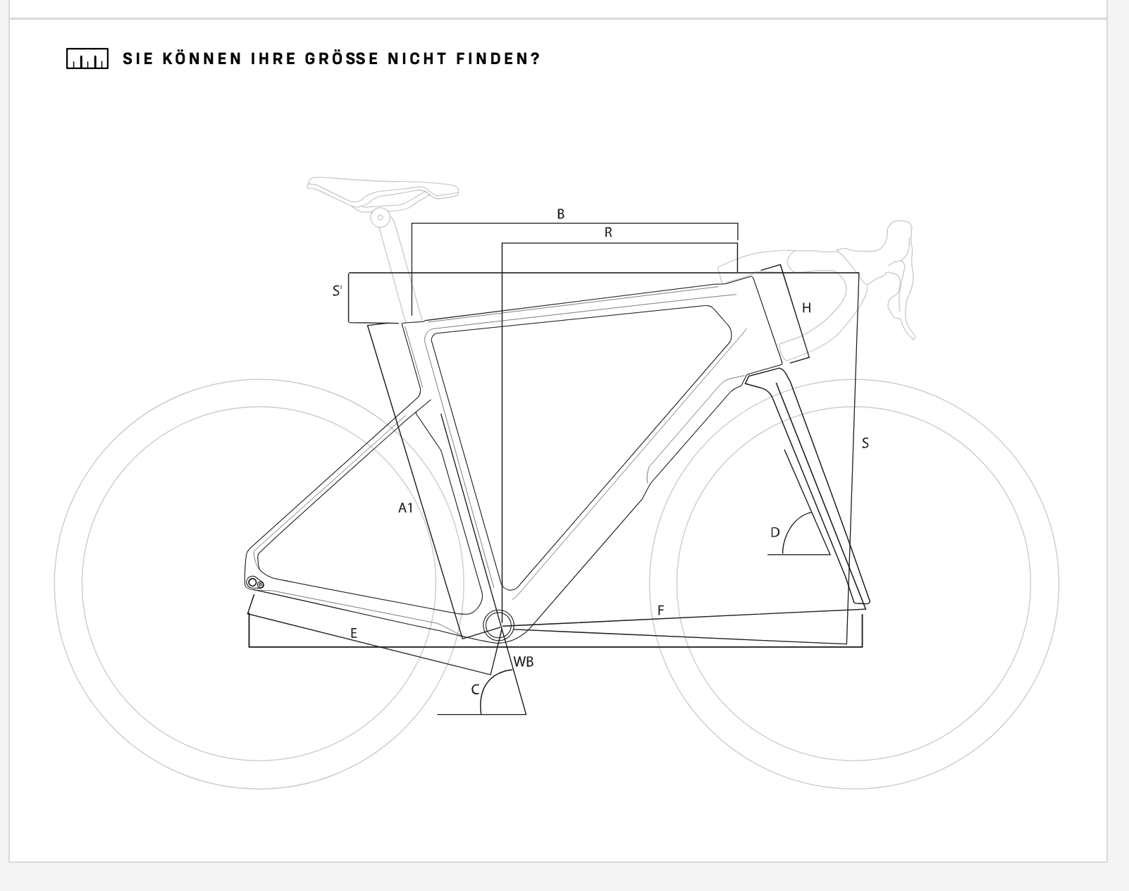 BASSO SV