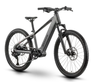 Zorq Pure 24